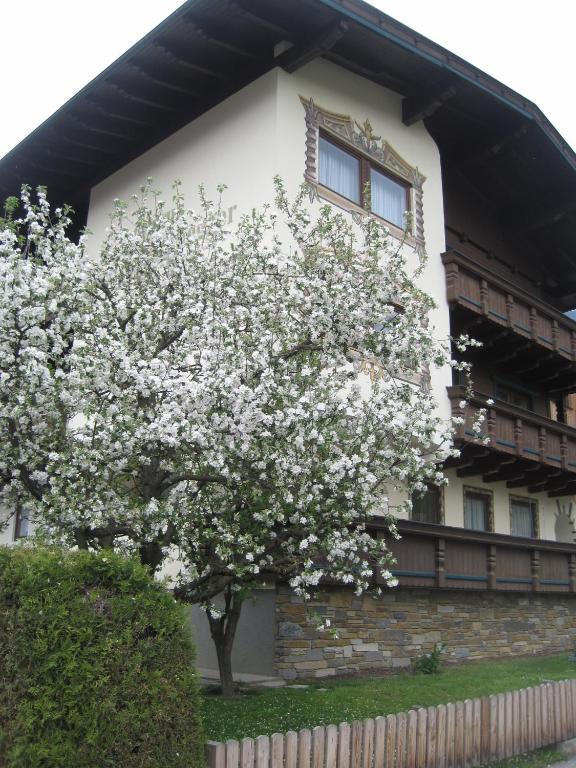 שטום Gaestehaus Braunegger מראה חיצוני תמונה